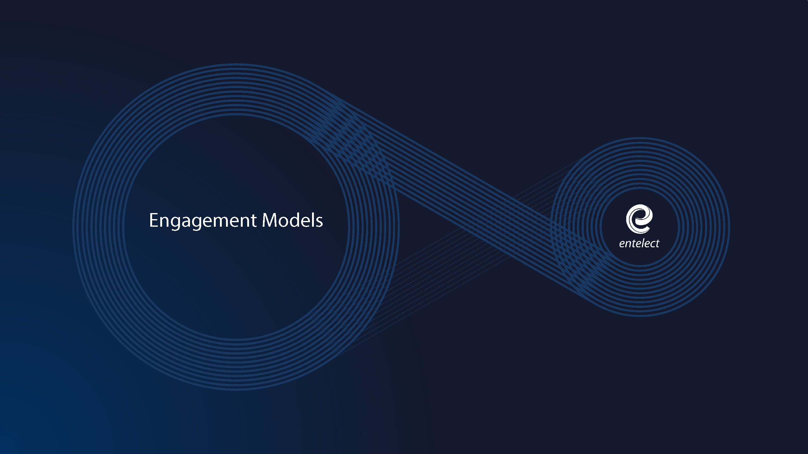 Entelect operating model
