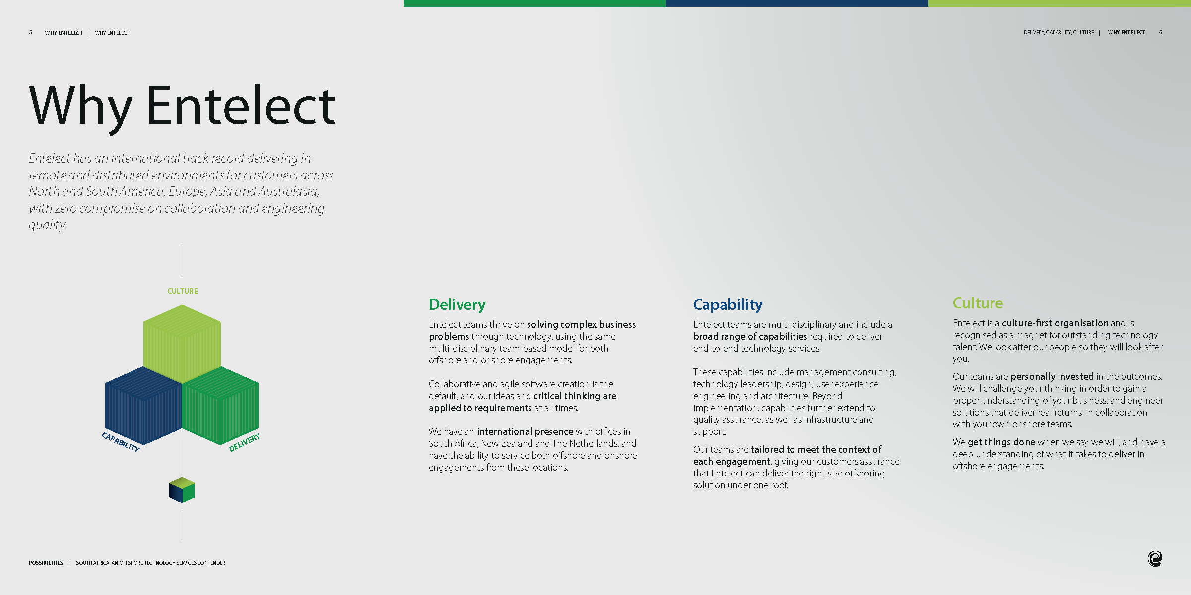 Entelect operating model