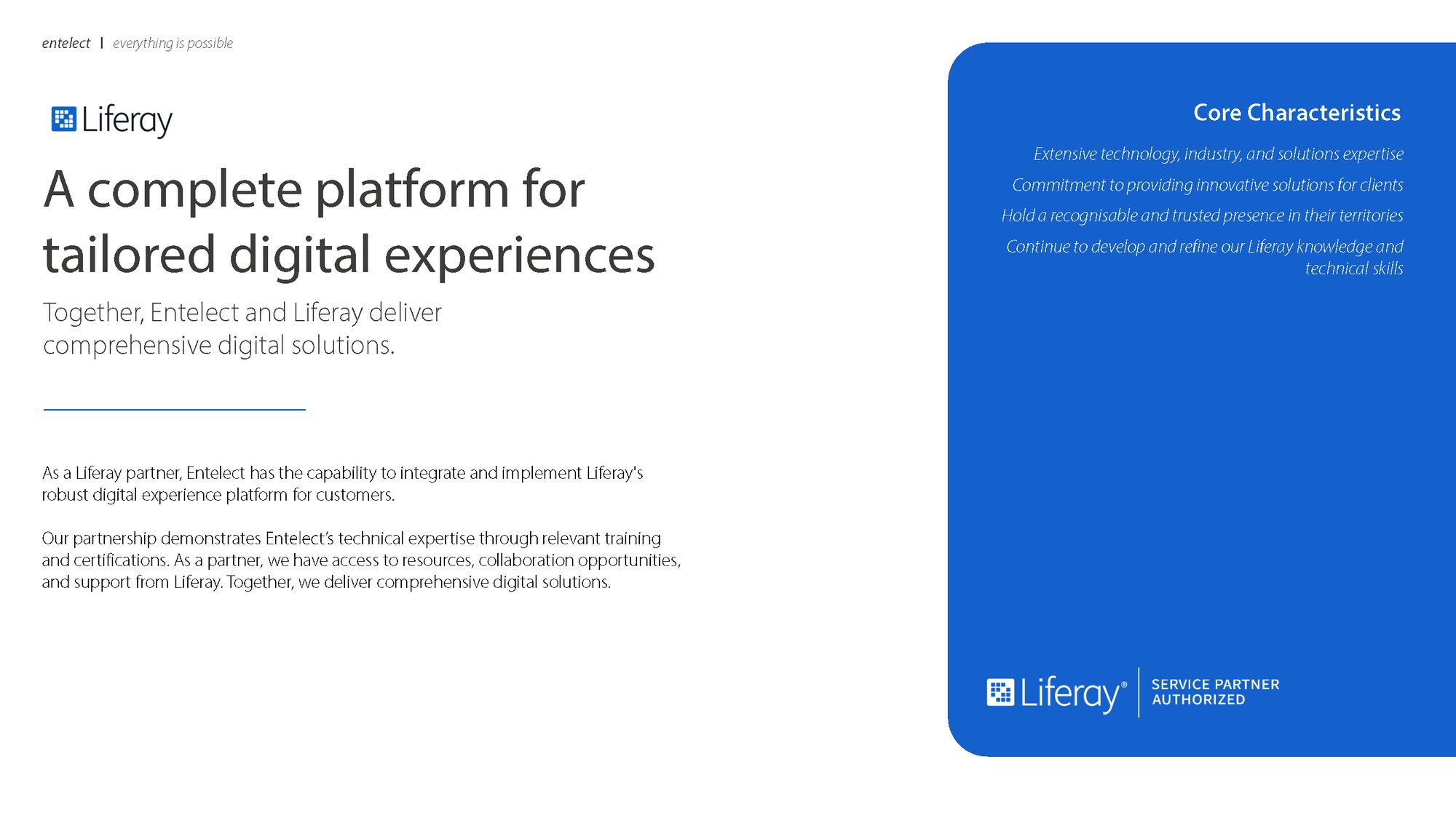 Entelect Partnerships_Page_5